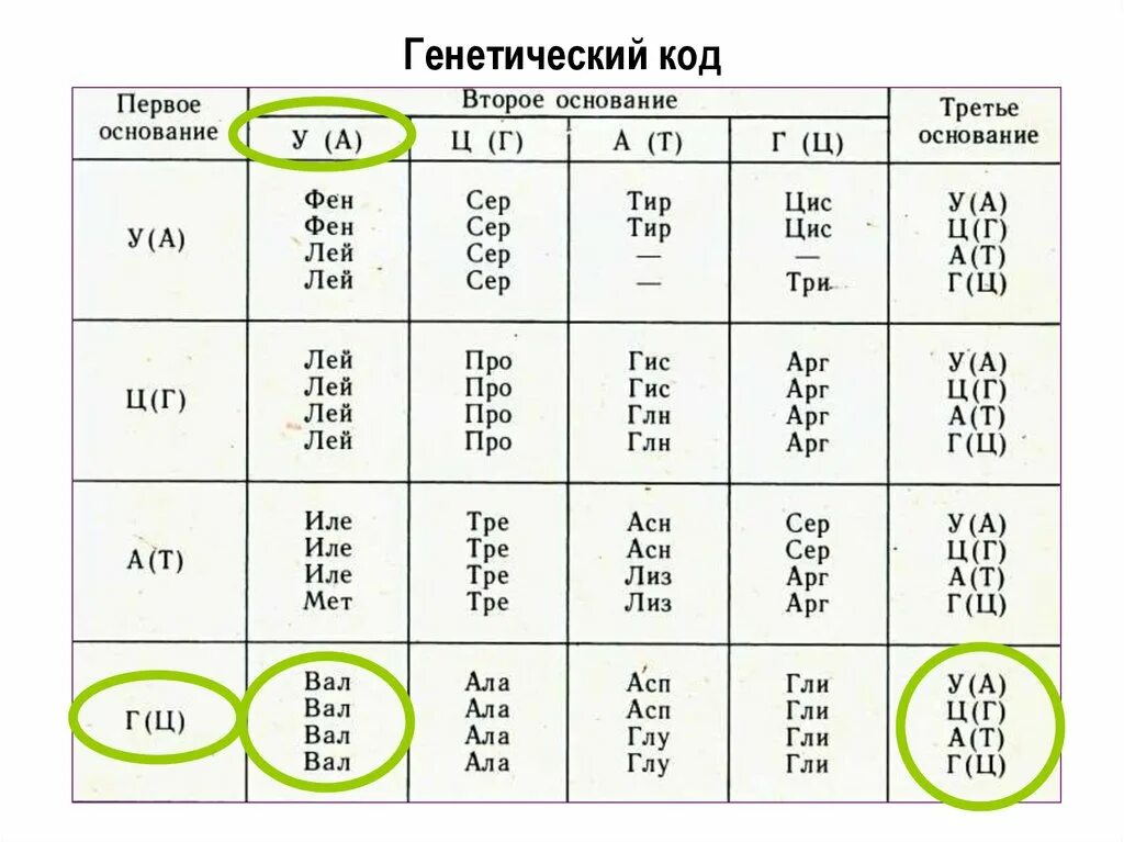 Белковый код. Генетический код биология 9 класс таблица. Генетический код таблица ЕГЭ биология. Генетический код по биологии 9 класс. Биология таблица генетического кода ДНК.