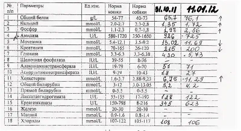 Анализ на фосфор