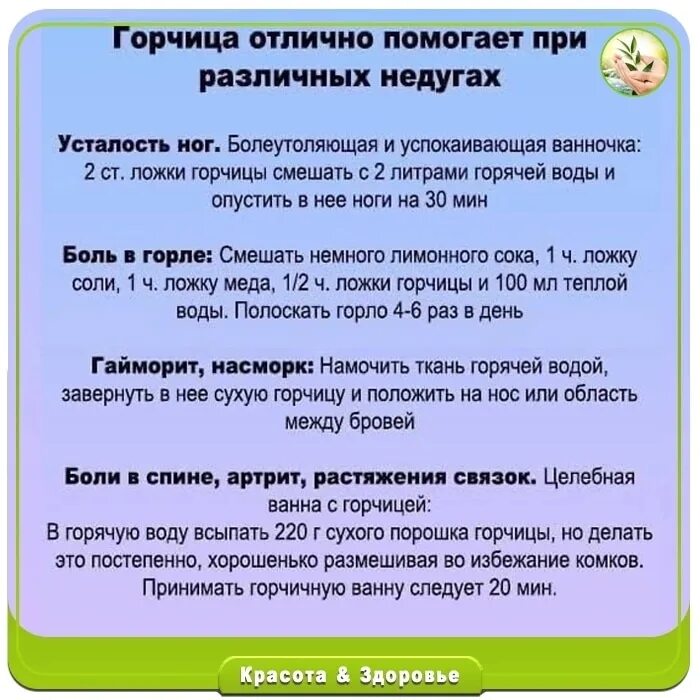 Рецепты народной медицины. Польза горчицы для организма женщины. Польза горчицы для организма женщины. Польза горчицы для организма. Полезные свойства горчицы.