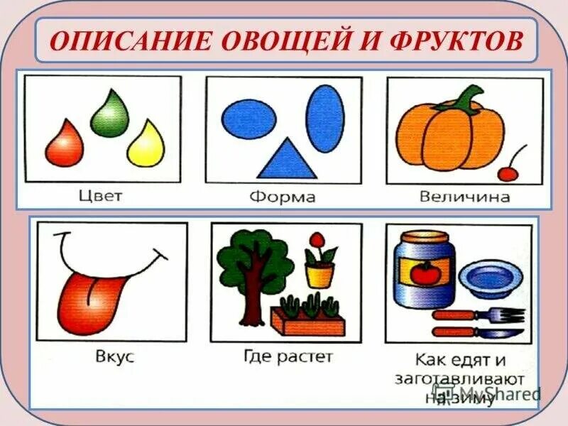 Схема фруктов. Схема составления описательного рассказа об овощах. Схема описания предмета для дошкольников. Схема описания предмета. Схема описания предмета в средней группе.