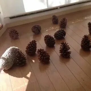 Веселая шишка