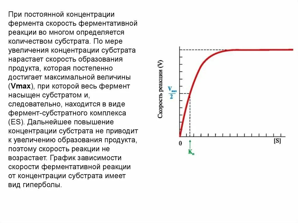 График зависимости ферментативной реакции от концентрации субстрата. График зависимости активности ферментов от концентрации субстрата. Скорость ферментативной реакции от концентрации субстрата. Зависимость скорости ферментативной реакции от количества субстрата. График зависимости фермента от температуры