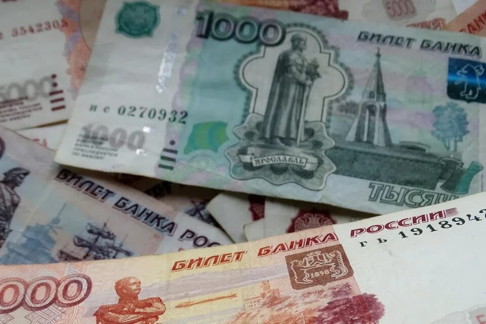 12 млн сумм. 16 миллионов рублей. 4 млн рублей каизно. 17 млн рублей за китаскую самшеу. 17 миллионов.