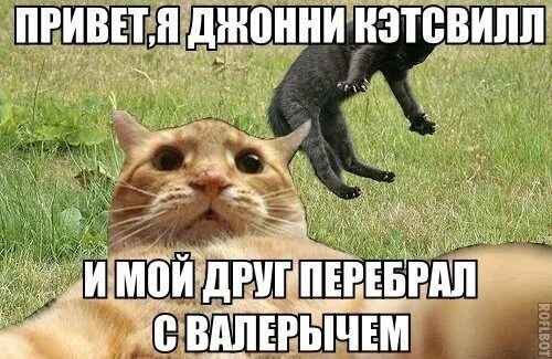 Привет это я 15. Привет мир карточка для новорожденного. Привет это я 15. Открытка просто узнать как ты. Книга привет.