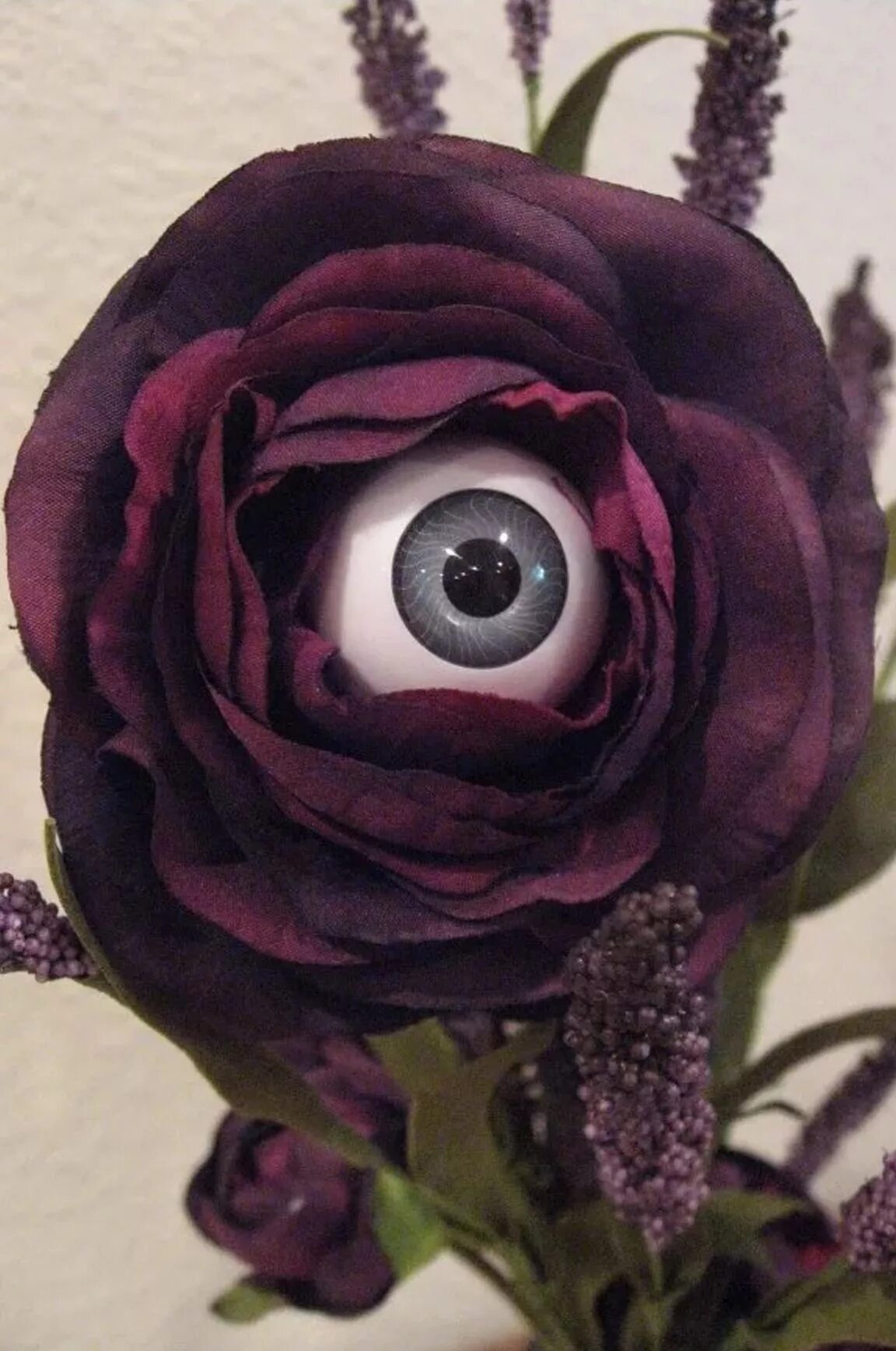Глазок розы. Страшные цветы. Самый страшный цветок.