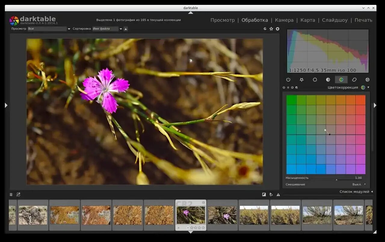 Фильтры в darktable. Darktable интерфейс. Darktable интерфейс. 1. Darktable.