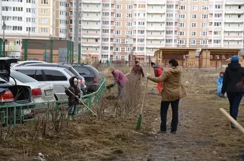 Запись кузнечики подольск