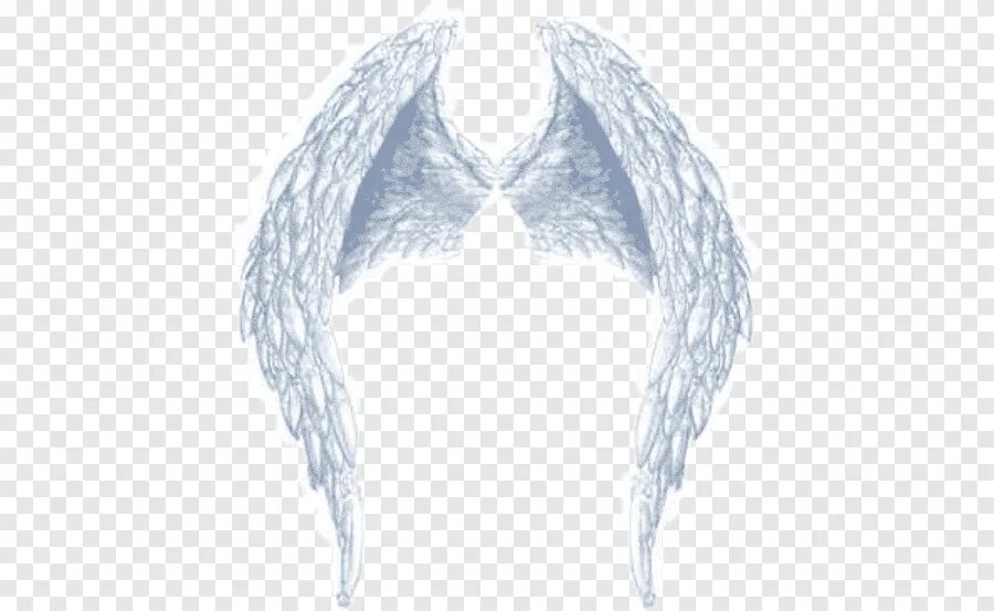 Крылья с нимбом. Крылья над головой. Крылья с нимбом. Нимб фон. Крылья и нимб ангела.