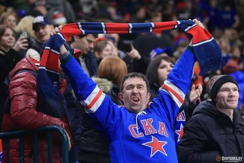 Литвин напал на фаната ска