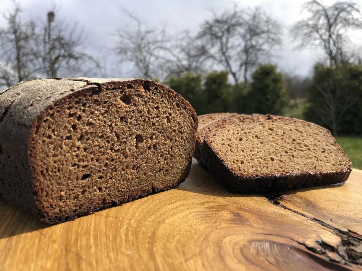 хлеб на корню 4