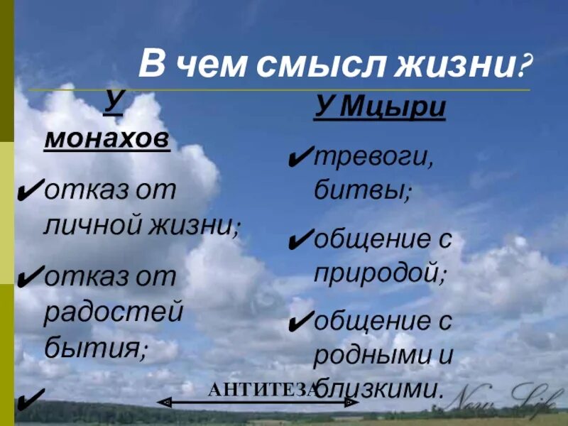 Смысл жизни мцыри и монаха. В чем смысл жизни. в чем смысл жизни мцыри. антитеза в мцыри. в чем смысл жизни монахов.