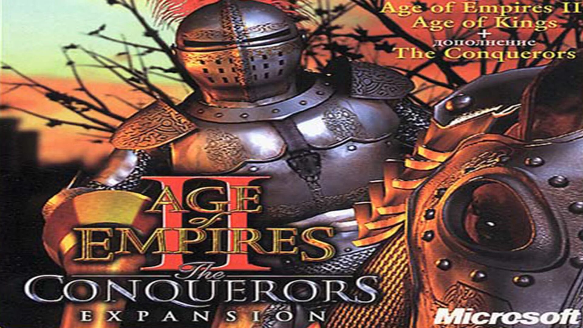 Age of Empires Фаргус. Age of Empires Conquerors. Age of Empires II the Conquerors. Эпоха империй век королей обложка Фаргус. Age of conquerors