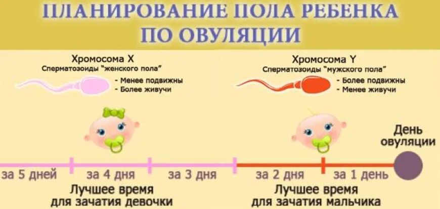 Малыш какие планы