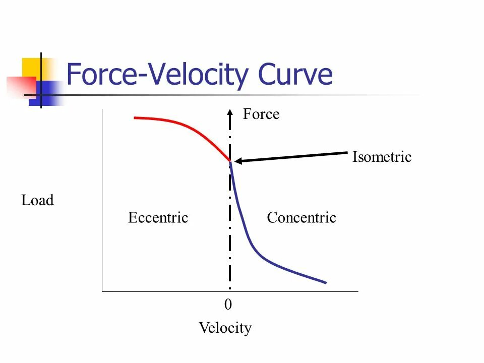 Velocity ядро. Velocity curve. force velocity curve. velocity after load curve. train velocity curve.