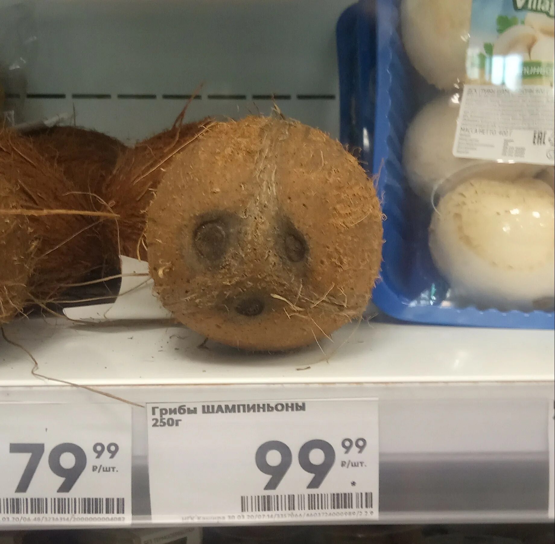 Пятерочка кокос. Кокос настоящий. Пятерочка кокос. Пятерочка кокос. Какос.