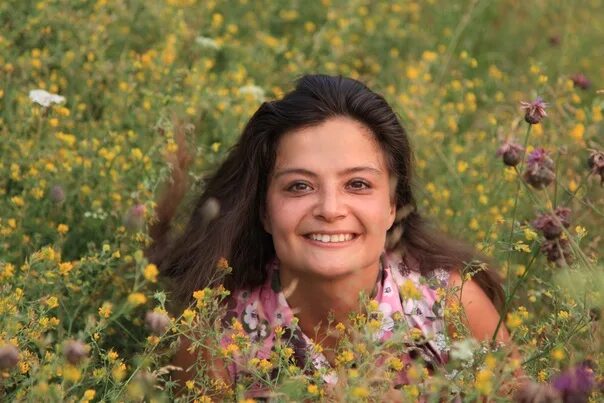 Зуля стадник. Зуля стадник фото.