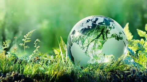 Environment geography