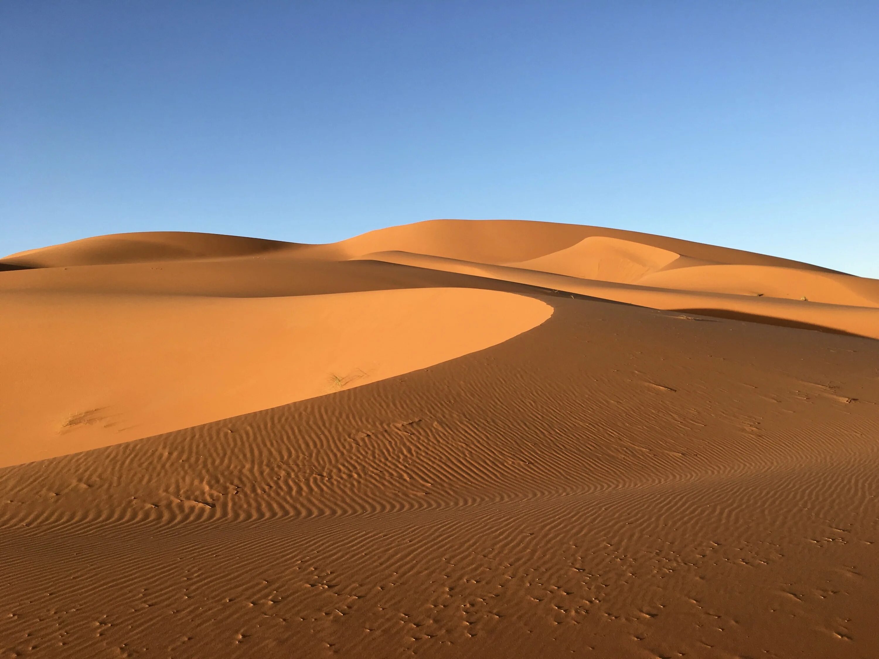 Эль ХАМРА пустыня. Что такое кокпековые пустыни. Аравийская пустыня 2023. Нубийская пустыня.