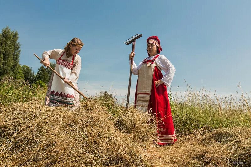 Баба на сенокосе. Сенокос. Сенокос праздник на Руси. Женщина с косой в поле. Хозяйство русского народа.