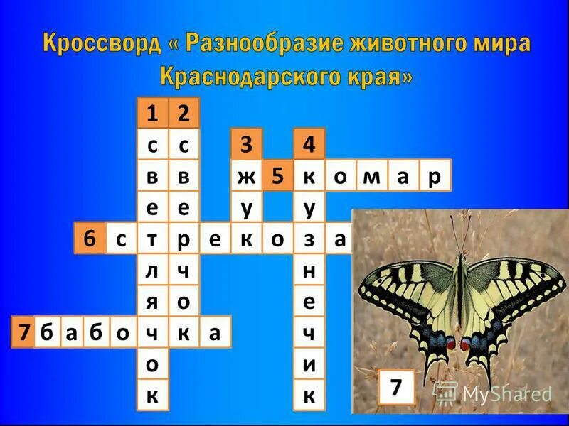 Кроссворд разнообразие животных. Кроссворды по биологии на тему разнообразие животных. Кроссворд на тему разнообразие животных.