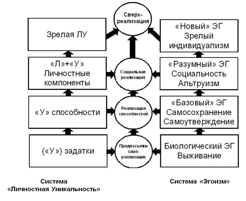 Уровни реализации личности. Теория основных желаний Стивена Райсса. Идея личной уникальности философия. Психологические компоненты Левитов. Левит теория 4 уровня продукции.