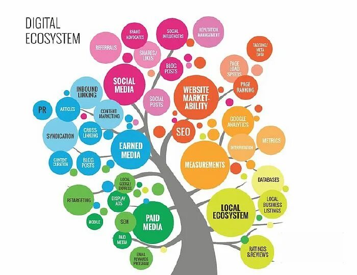 Digital ecosystem. Маркетинговая экосистема. Экосистема бизнеса. Цифровая экосистема. Экосистема цифровых сервисов.