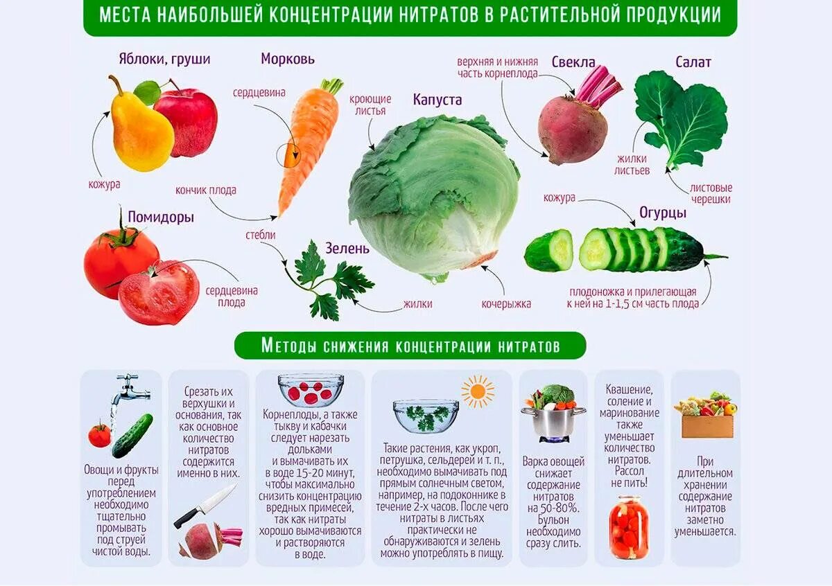 Нитраты в овощах. Нитриты в овощах и фруктах. Овощи с высоким содержанием нитратов в овощах. Полезные фрукты и овощи.