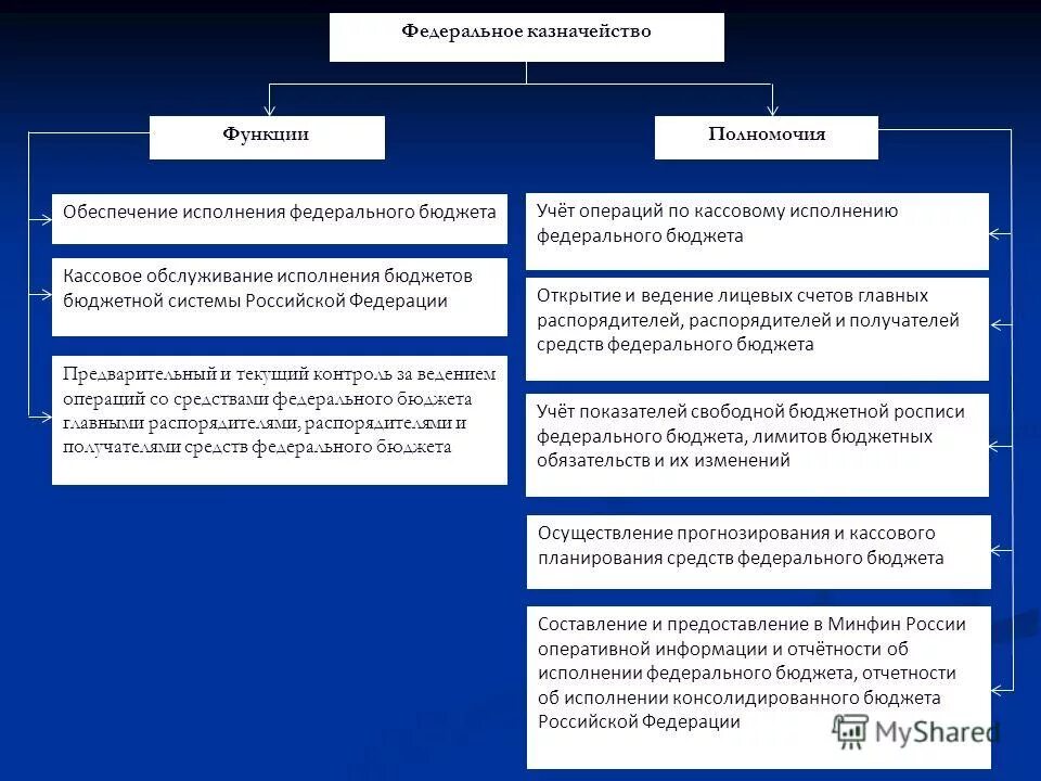 Обслуживают международные государственные финансовые операции. Полномочия казначейства в области финансового контроля. Федеральное казначейство осуществляет контроль. Казначейство функции органа. Исполнение федерального бюджета.