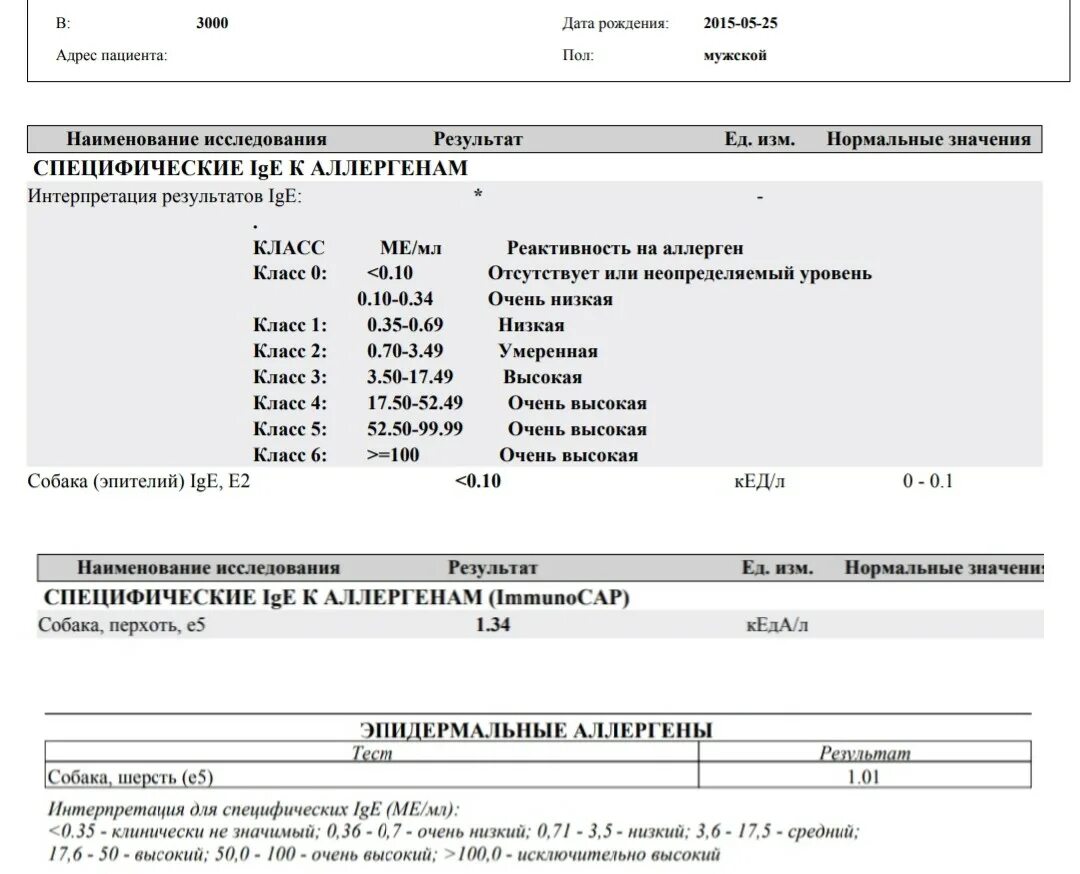 Что нужно сдавать на аллергию