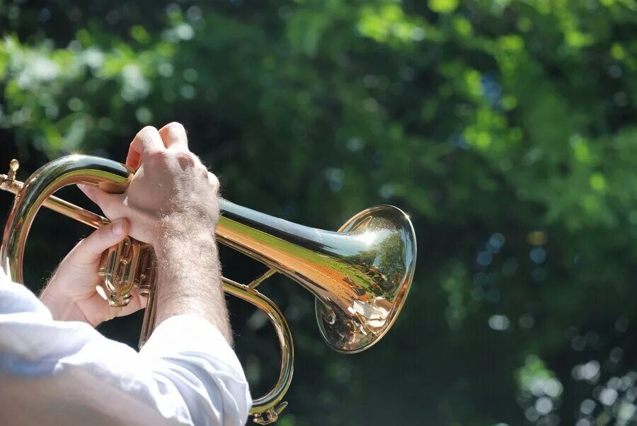 Музыка играет труба. Человек играет на трубе. Красивая игра на трубе. Man playing Trumpet. Труба музыкальный инструмент в руке.
