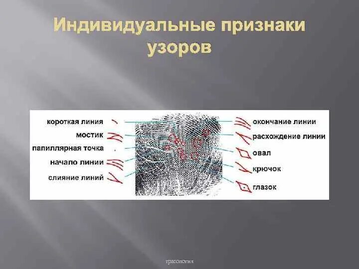 Трасология в криминалистике. Частные признаки в трасологии. Признаки разрыва в трасологии. Вид переплетения трасология.