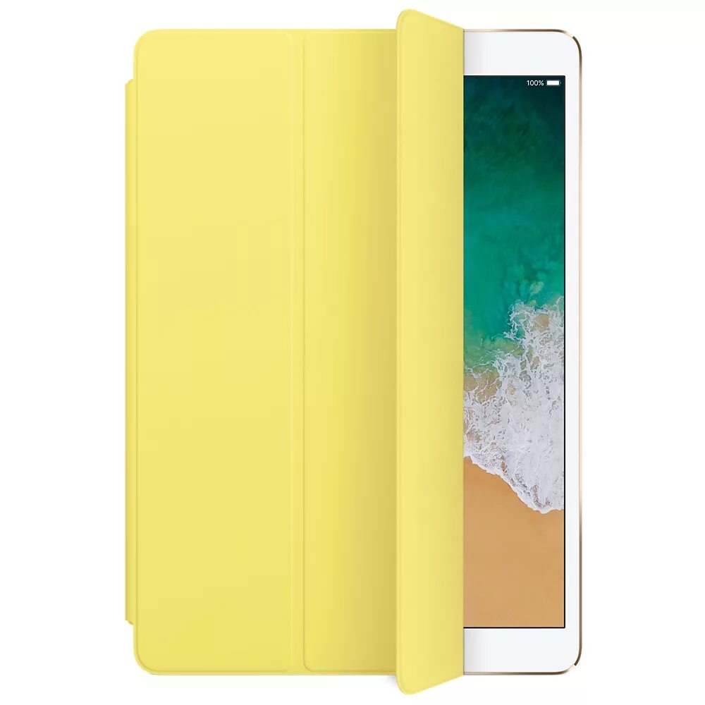 Чехол apple pink citrus. Обложка smart cover. Smart cover ipad 10. Обложка smart cover. Apple smart cover ipad mini 5.