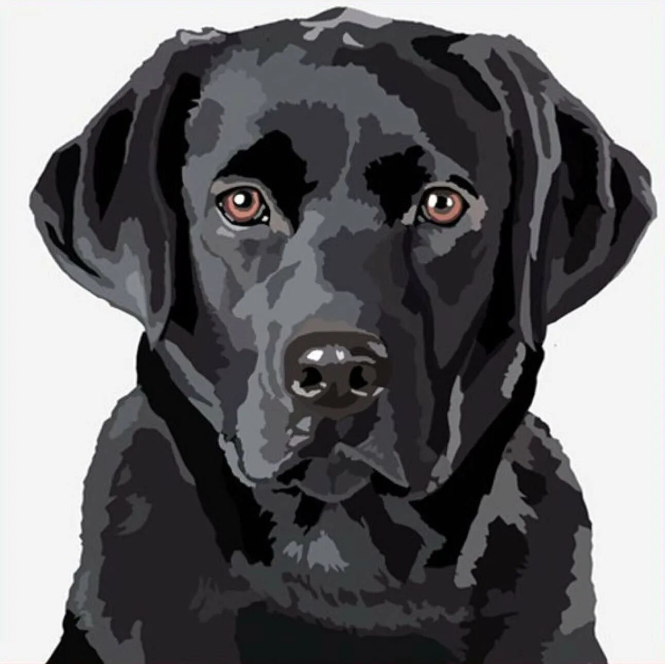 Рисунки черных собак. Черный лабрадор картина. Векторное лабрадор. Лабрадор рисунок. Лабрадор морда вектор.