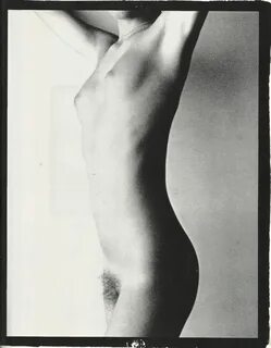 Nude david hamilton.