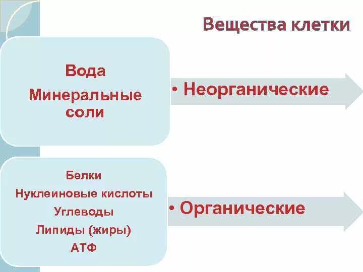 Организация вещества клетки. Органические и неорганические вещества биология 10 класс. Органические вещества биология 10. Органические вещества клетки углеводы липиды 10 класс.