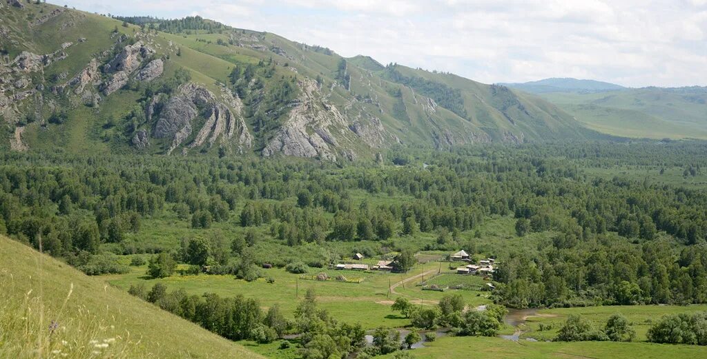 Алтайский район Алтайская краевая универсальная научная библиотека им. В.Я. Шишк