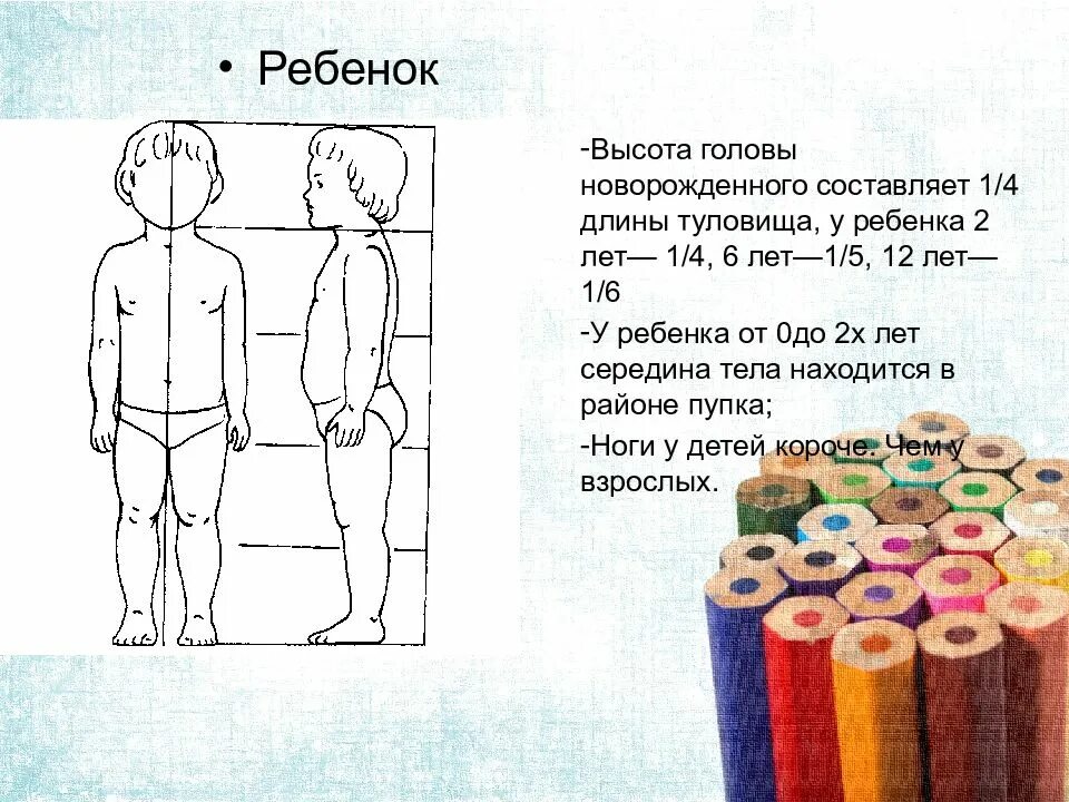 Пропорции тела человека. Измерили рост группы людей. Пропорции тела. Правильные пропорции тела. Средний рост парня.