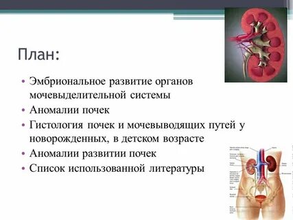 Порок мочеполовой системы