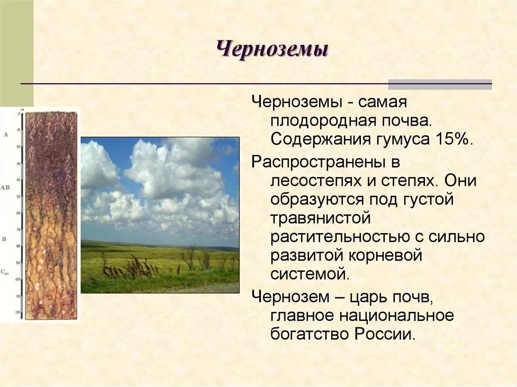 Какая природная зона самая плодородная почва чернозем. Краткая характеристика почвы чернозем. Свойства почвы чернозема кратко. Характеристика почв России черноземы. Характеристика чернозема кратко.