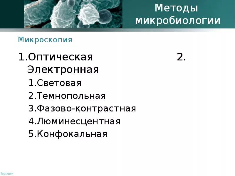 Заполнить таблицу методы микроскопии. Темнопольная микроскопия микробиология. фазово-контрастная микроскопия микробиология. люминесцентная микроскопия микробиология. методы микроскопии в микробиологии.