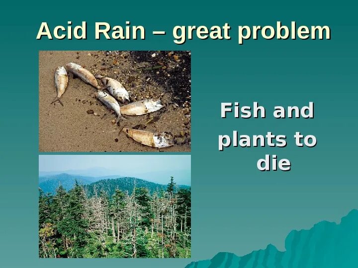 Acid Rain. Solve the problem of acid Rain. Кислотные дожди гибель рыбы. Acid Rain топик. Английский язык 7 класс текст acid rain