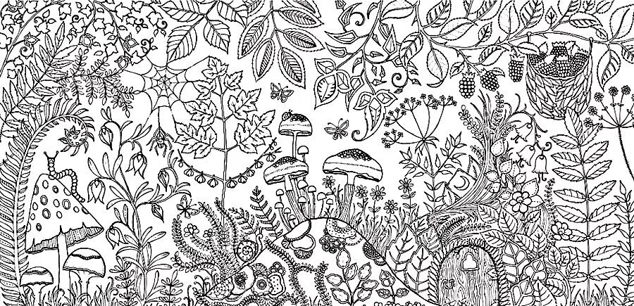 Трава антистресс. Джоанна Бэсфорд таинственный сад чёрно белая. Secret Garden» Джоанны Басфорд. Раскраска Джоанна Басфорд Зачарованный лес. Раскраски антистресс Джоанна Басфорд Зачарованный лес.