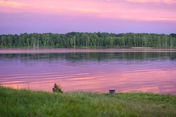 озеро Боровно Новгородская область Живая природа Фотострана Пост № 743708136