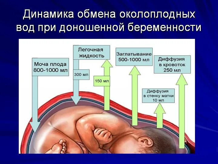 Почему околоплодные воды