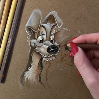 Lady And The Tramp Drawing Tutorial