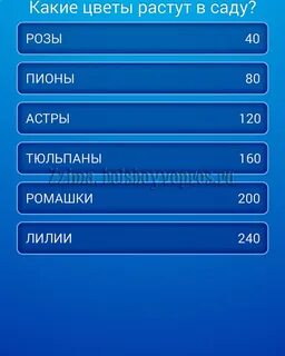 Сто к одному ответы