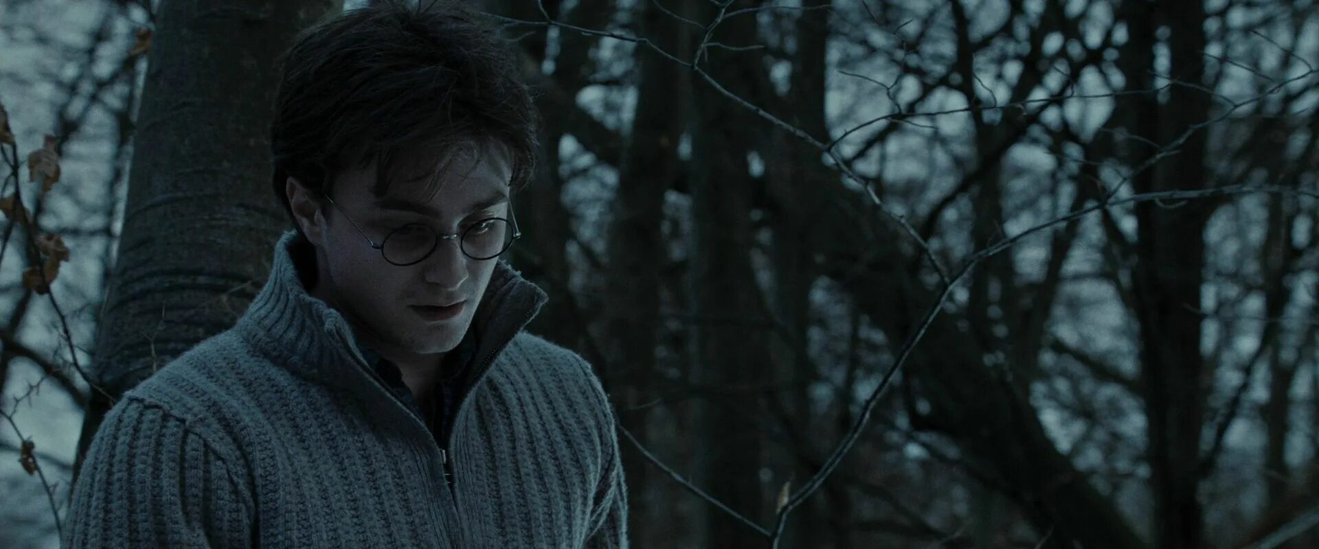 Аудиокниги дары смерти 1. Harry Potter and the Deathly Hallows: Part 1 (2010).