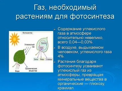 Газ необходимый для жизни растений
