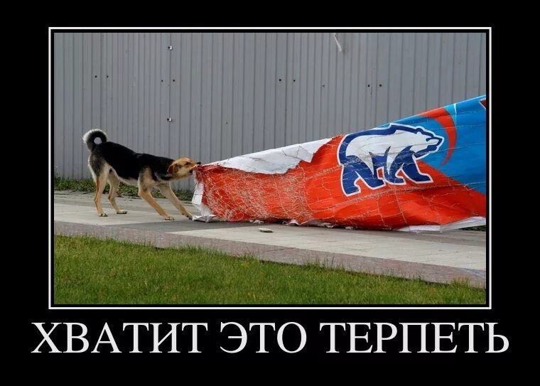 Хватит страдать. Собака коммуняка. Я русский демотиватор. Демотиваторы про русских. Единая Россия демотиваторы собака.