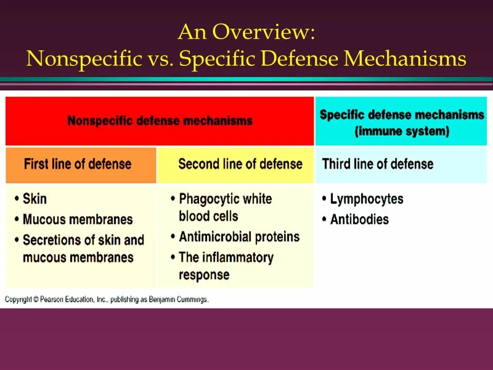 Non specific view. Non specific immunity. non-specific defense system. second line of immune defense. non specific immunity example.